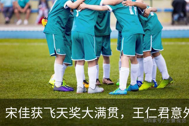 宋佳获飞天奖大满贯，王仁君意外夺视帝，赵丽颖送祝贺